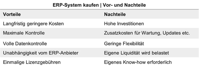 erp-kaufen-vor-und-nachteile